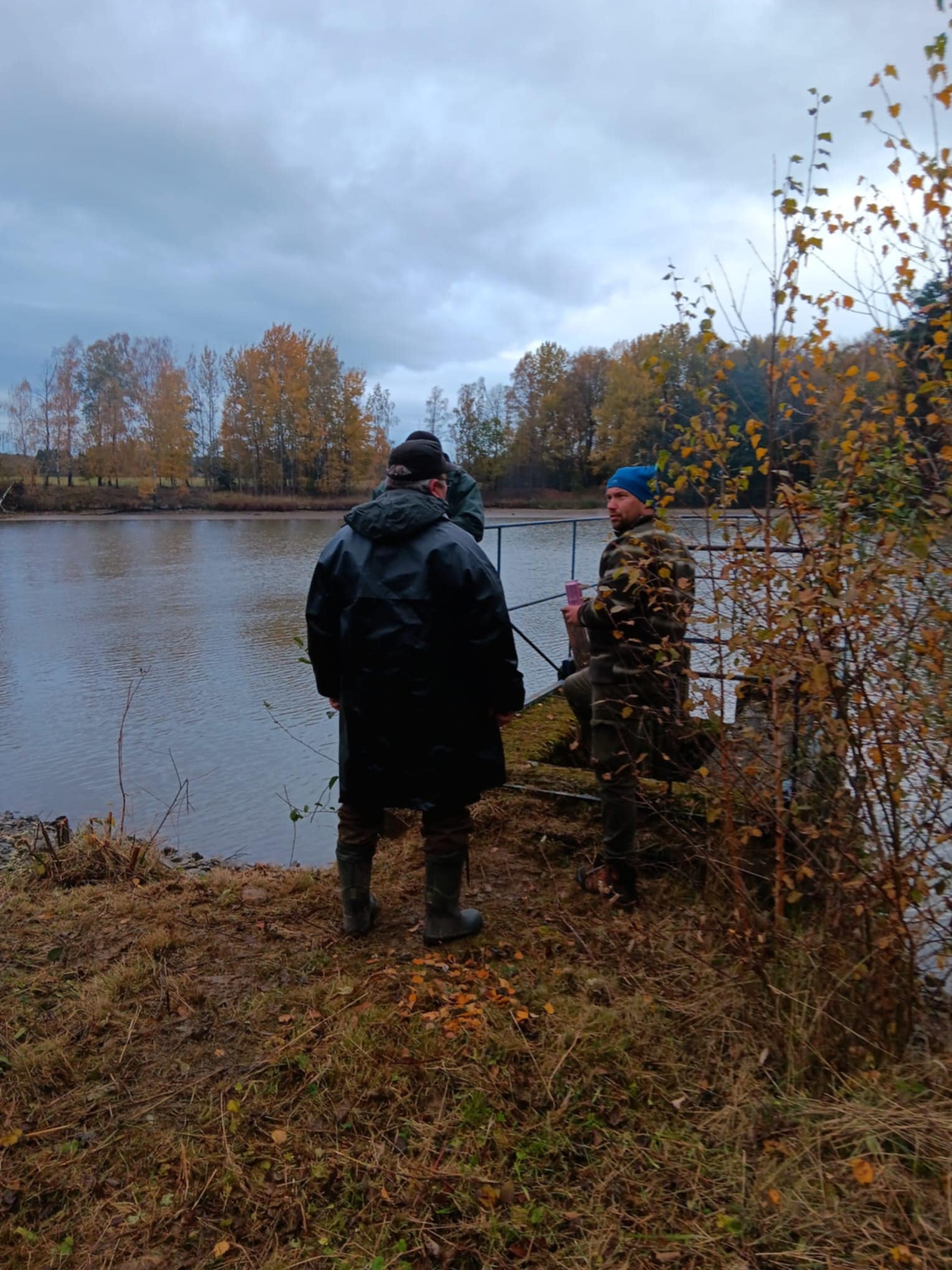 Výlov tůň č.4 (25.10.2025)
