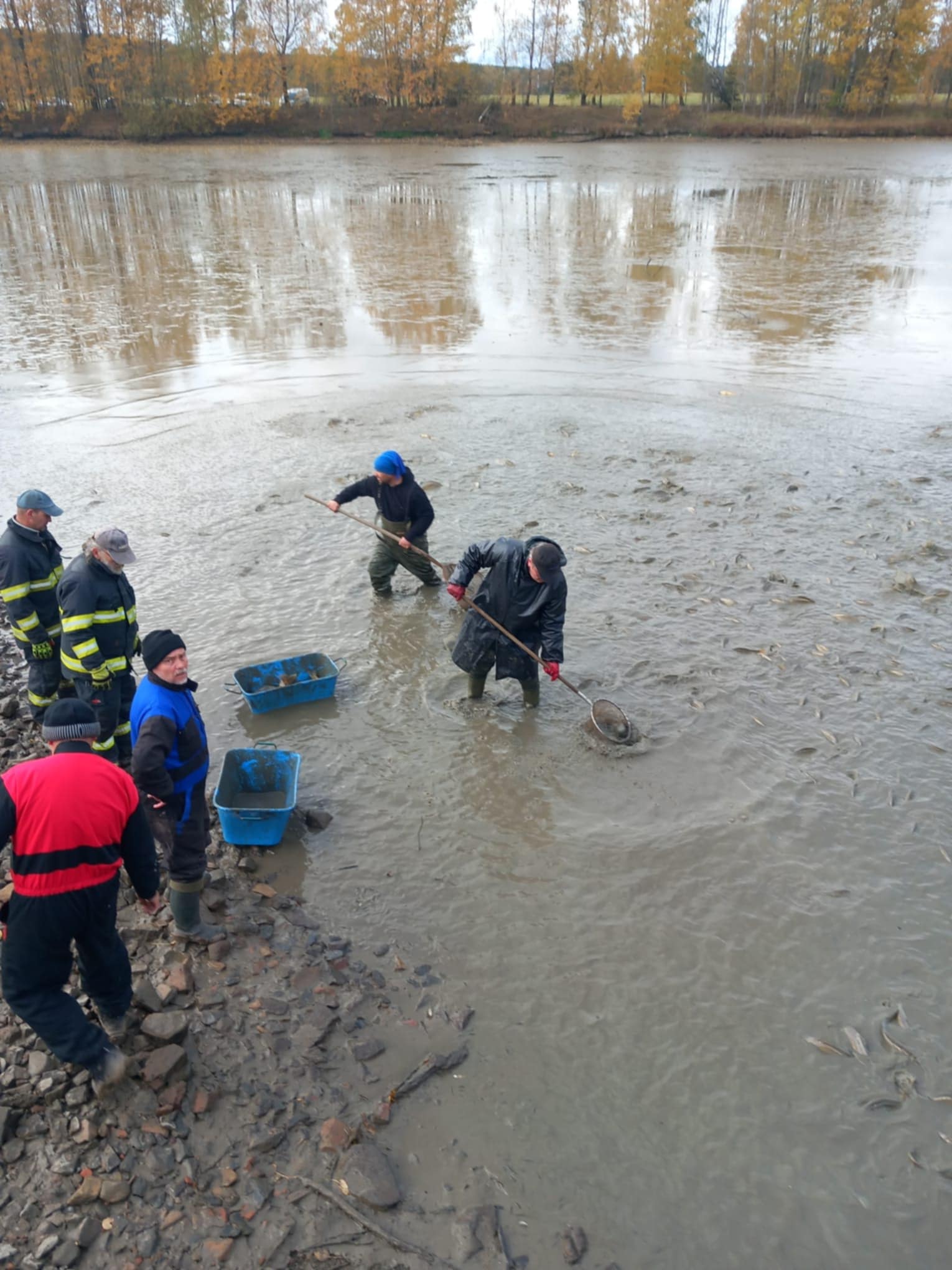 Výlov tůň č.4 (25.10.2025)